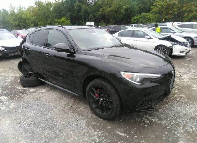 ALFA-ROMEO STELVIO 2021 zaspakbn7m7d02048