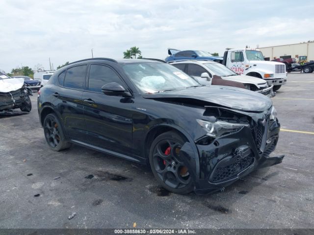 ALFA-ROMEO STELVIO 2022 zaspakbn7n7d31096