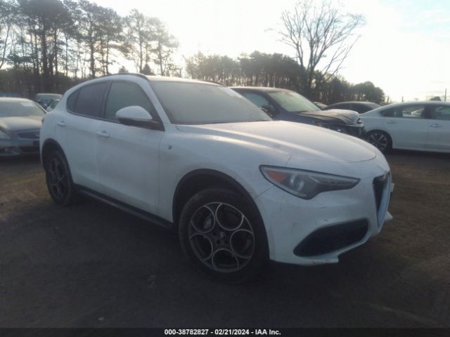 ALFA-ROMEO STELVIO 2022 zaspakbn7n7d40042