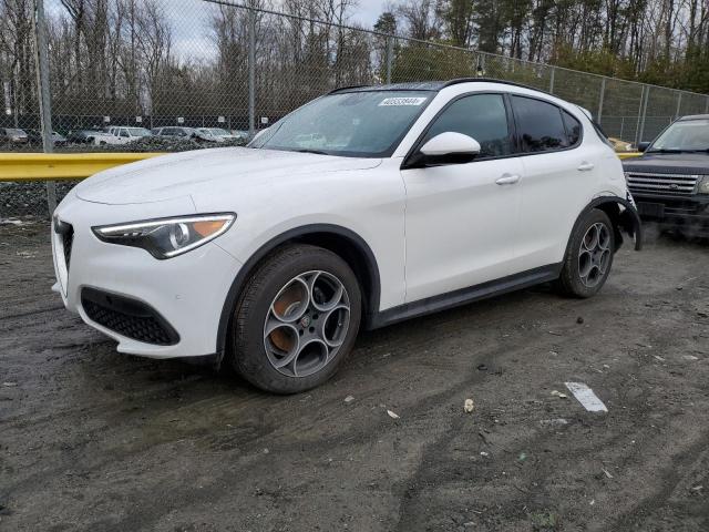 ALFA-ROMEO STELVIO 2019 zaspakbn8k7c31150