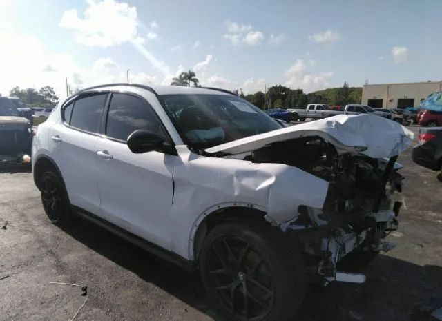 ALFA-ROMEO STELVIO 2019 zaspakbn8k7c69428