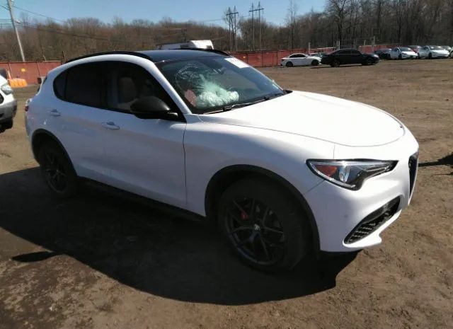 ALFA-ROMEO STELVIO 2019 zaspakbn8k7c72071