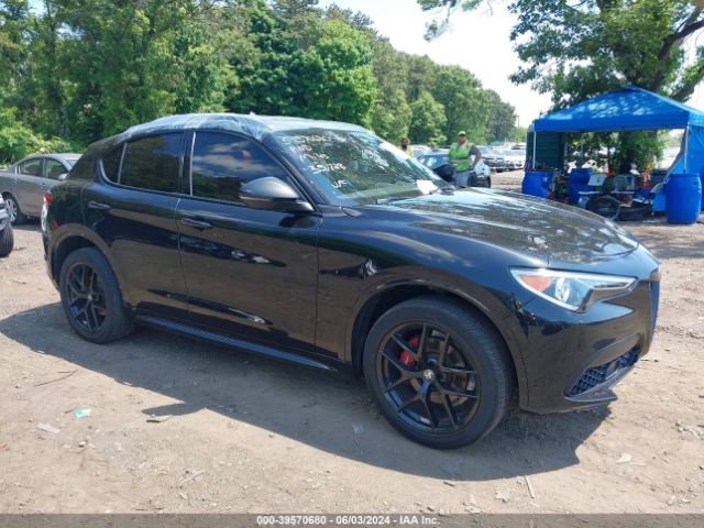 ALFA-ROMEO STELVIO 2020 zaspakbn8l7c75537