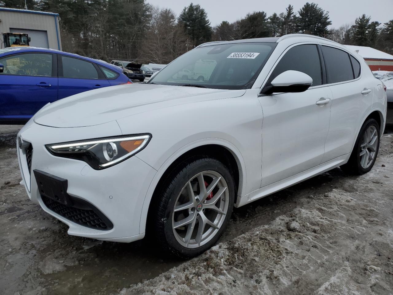 ALFA-ROMEO STELVIO 2021 zaspakbn8m7d09557