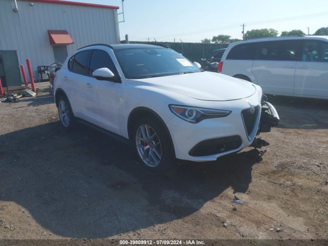 ALFA-ROMEO STELVIO 2019 zaspakbn9k7c29813