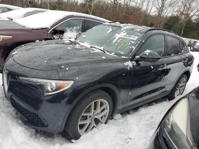 ALFA-ROMEO STELVIO 2019 zaspakbn9k7c33411