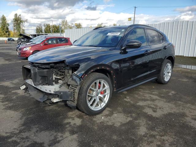 ALFA-ROMEO STELVIO TI 2019 zaspakbn9k7c34316