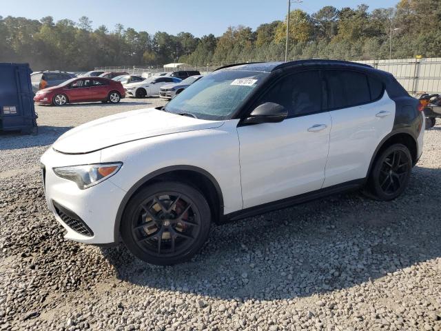 ALFA-ROMEO STELVIO TI 2019 zaspakbn9k7c50404