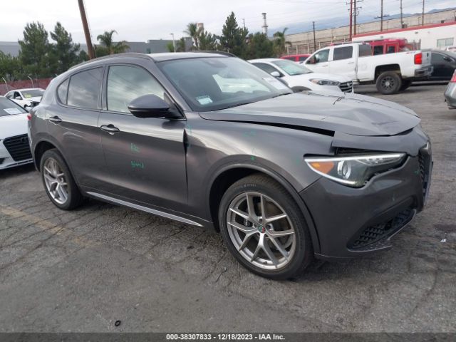 ALFA-ROMEO STELVIO 2020 zaspakbn9l7c93156