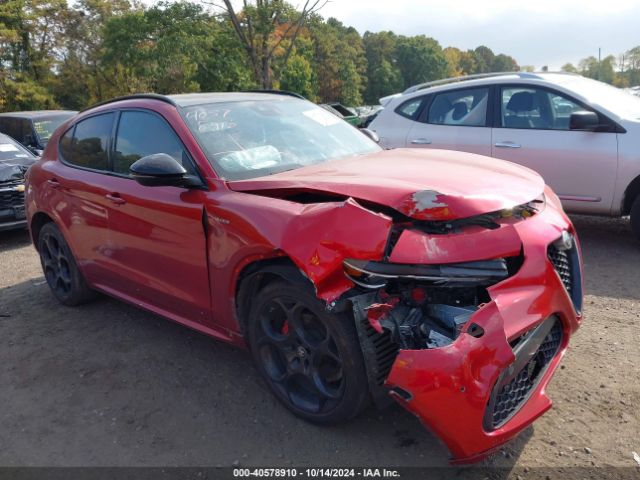 ALFA-ROMEO STELVIO 2022 zaspakbn9n7d34775