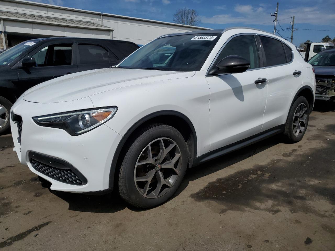 ALFA-ROMEO STELVIO 2019 zaspakbnxk7c51965