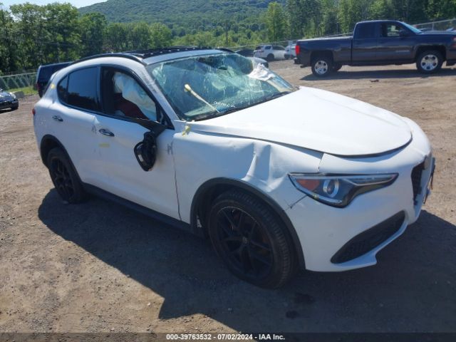 ALFA-ROMEO STELVIO 2019 zaspakbnxk7c52890