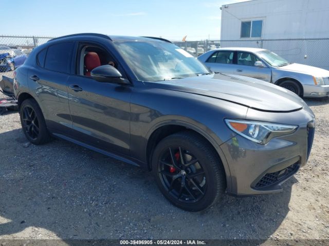 ALFA-ROMEO STELVIO 2021 zaspakbnxm7d11259