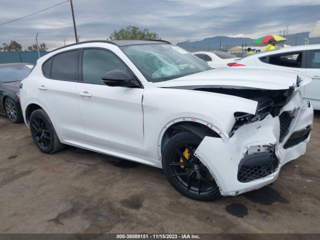 ALFA-ROMEO STELVIO 2021 zaspakbnxm7d11553