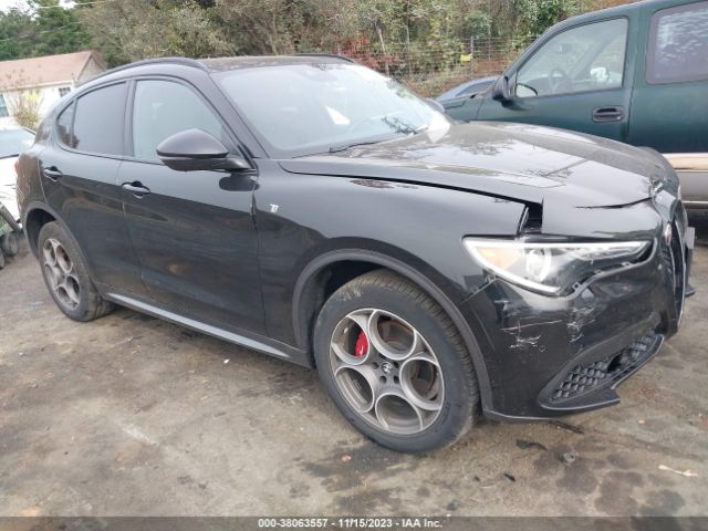 ALFA-ROMEO STELVIO 2022 zaspakbnxn7d44778