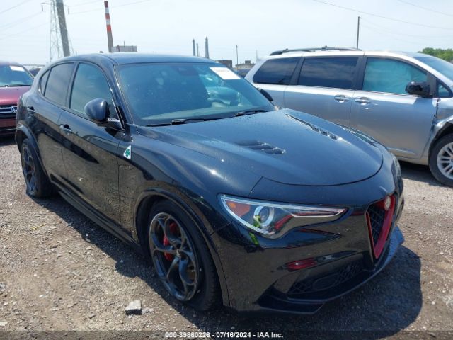 ALFA-ROMEO STELVIO 2019 zaspakev3k7c31391