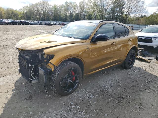 ALFA-ROMEO STELVIO 2022 zaspakev5n7d48605