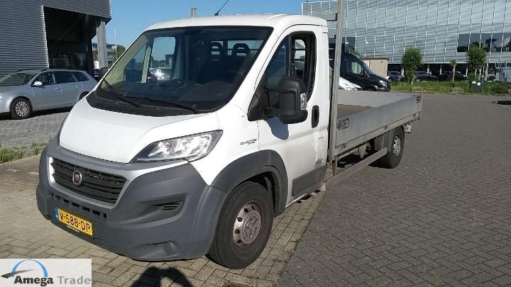 FIAT FIAT DUCATO 2017 zfa25000002c42177