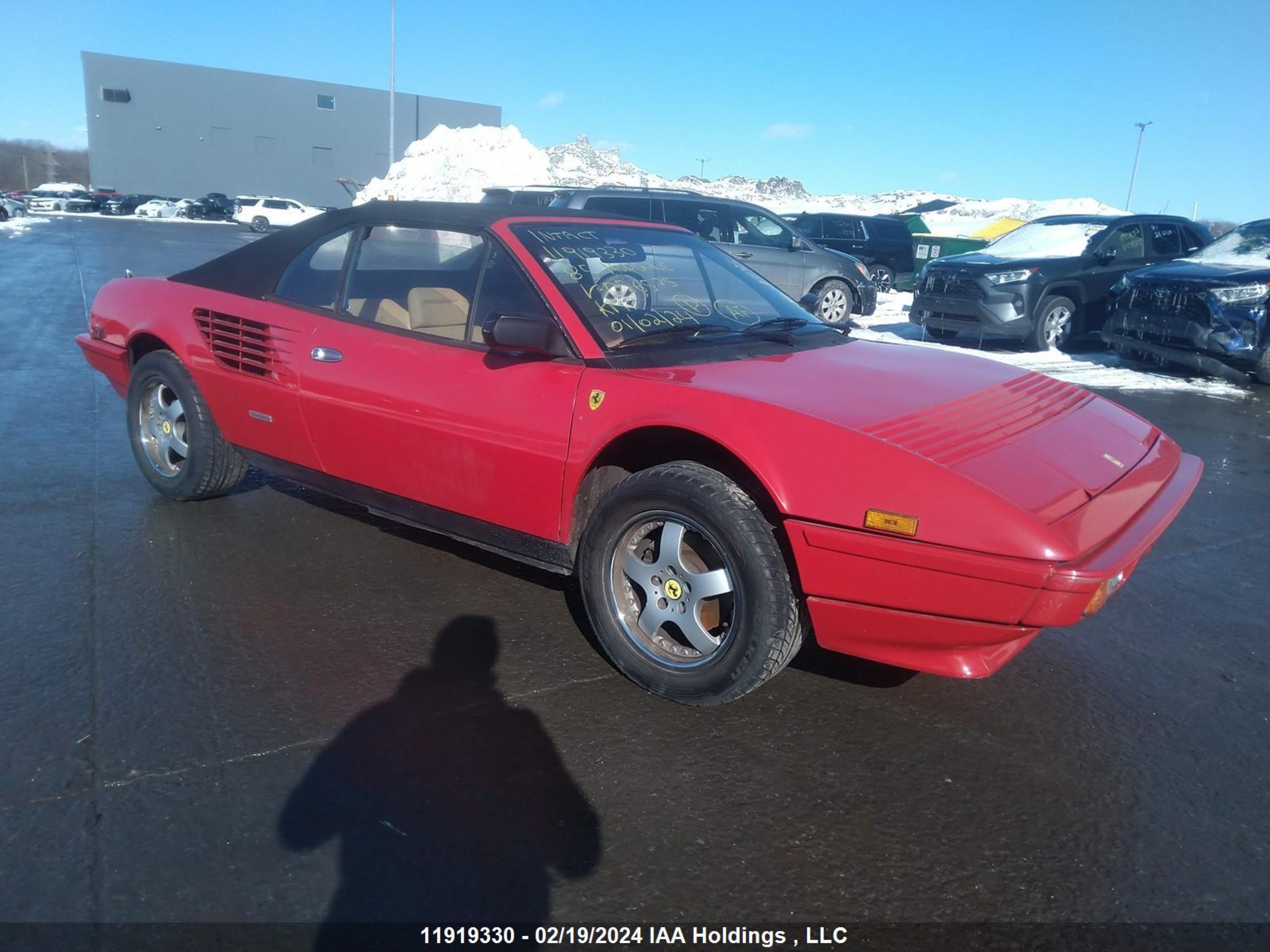 FERRARI MONDIAL 1985 zffuc15a7f0056575